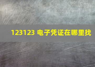 123123 电子凭证在哪里找